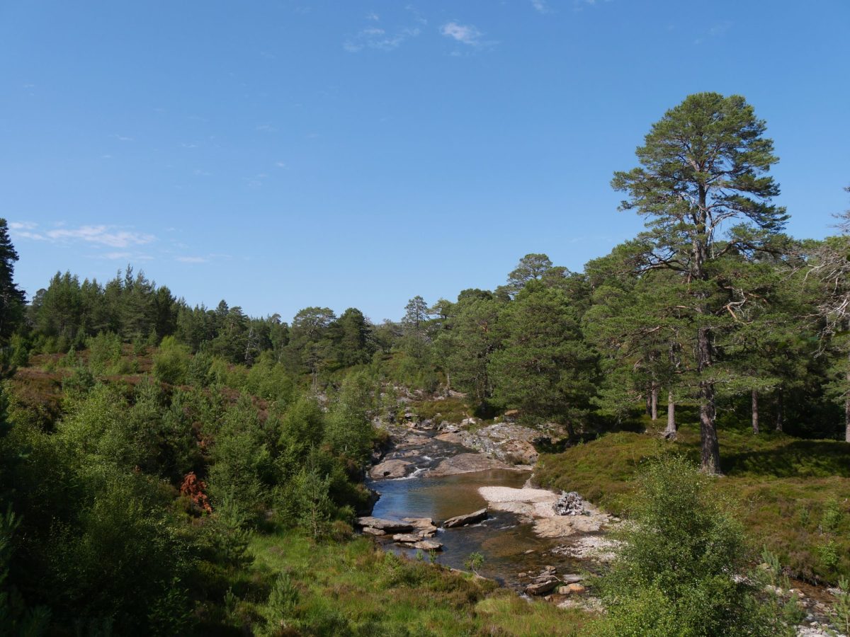 Mar Lodge Estate&nbsp;Regeneration