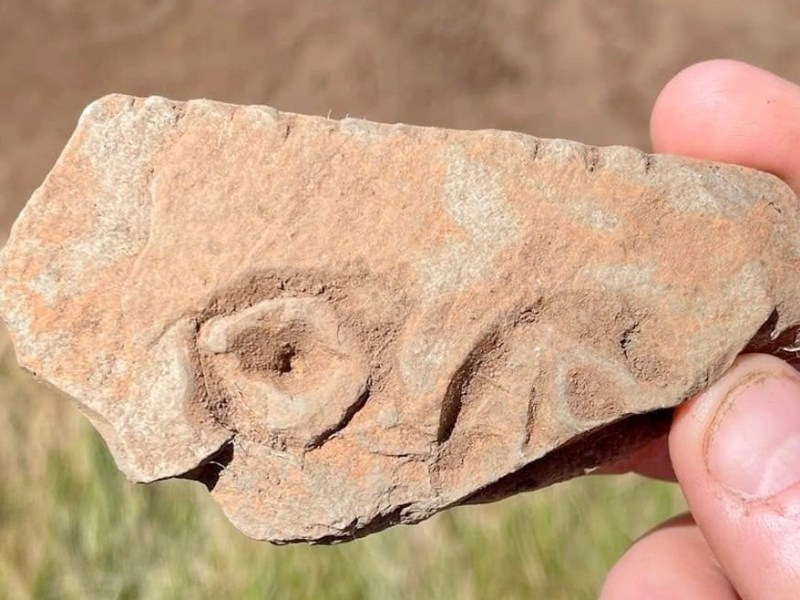 Friday 20th February at 7.30 p.m.: “The Southern Pictish Kingdoms including Fortingall” presented only on&nbsp;Zoom